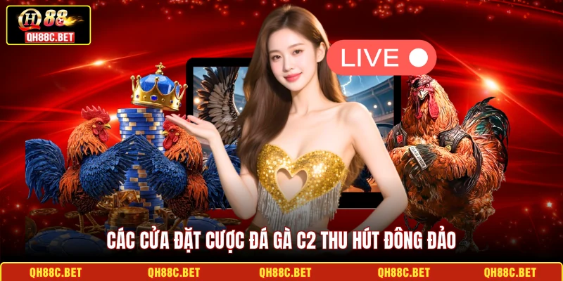 Các cửa đặt cược Đá gà C2 thu hút đông đảo