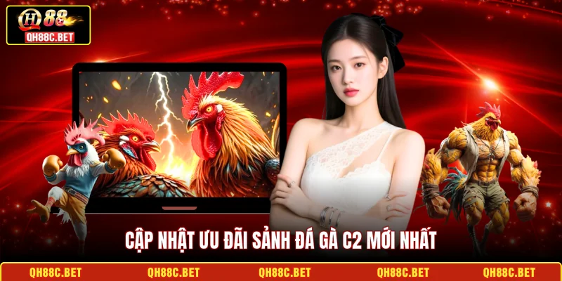 Cập nhật ưu đãi sảnh Đá gà C2 mới nhất