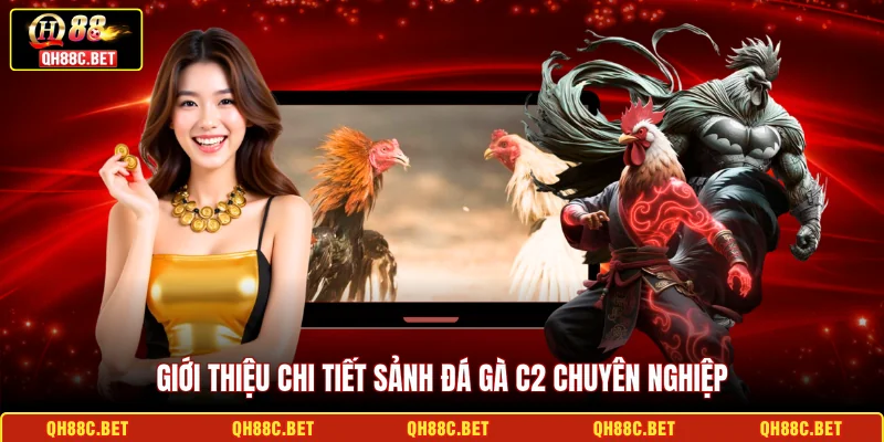 Giới thiệu chi tiết sảnh Đá gà C2 chuyên nghiệp