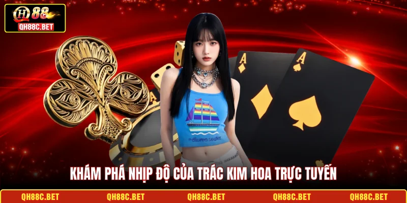 Khám phá nhịp độ của Trác Kim Hoa trực tuyến