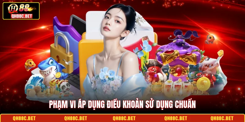 Phạm vi áp dụng điều khoản sử dụng chuẩn