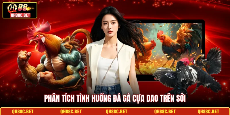 Phân tích tình huống đá gà cựa dao trên sới