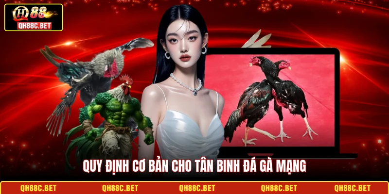 Quy định cơ bản cho tân binh đá gà mạng