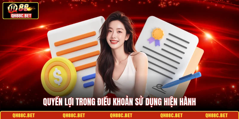 Quyền lợi trong điều khoản sử dụng hiện hành