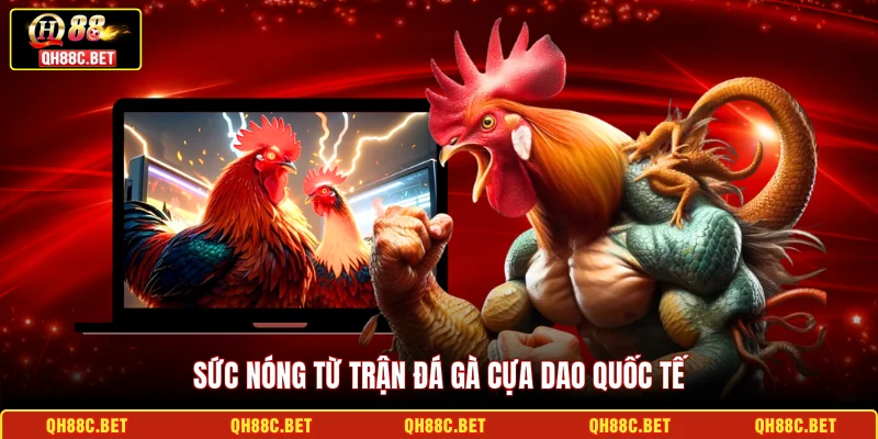 Sức nóng từ trận đá gà cựa dao quốc tế